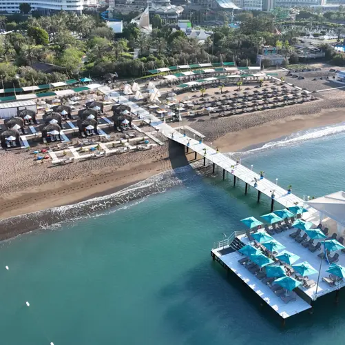 Concord General View 50