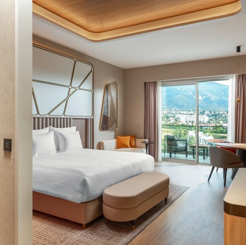 DELXUE ROOM FRENCH BED (LAND VIEW)5