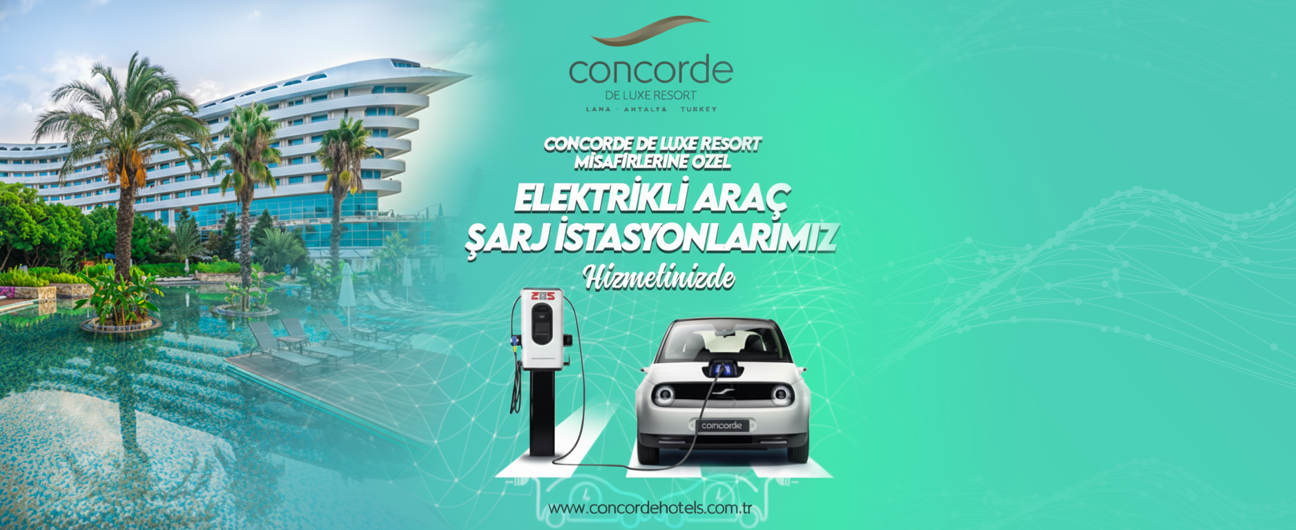 Electric Vehicle Charging Station