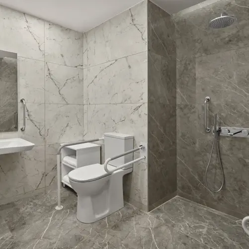 DELUXE ROOM BATHROOM (ACCESSIBLE)