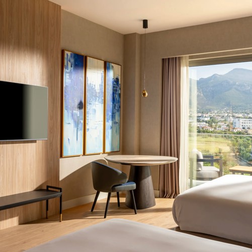DELUXE ROOM TWIN BED (LAND VIEW)7