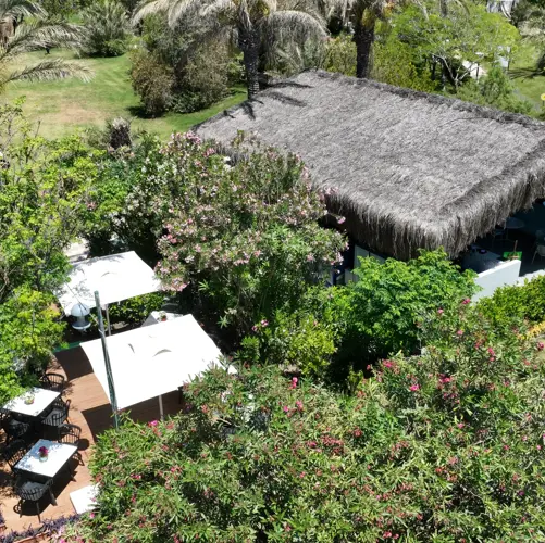 Concord General View 65