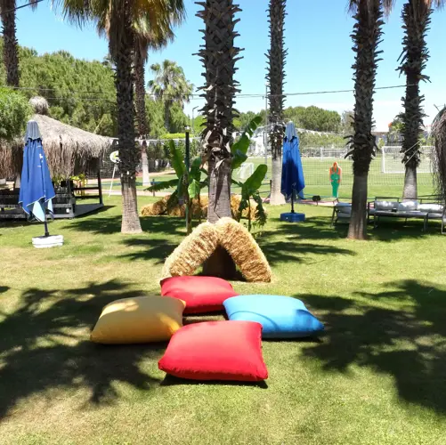 Concord General View 75