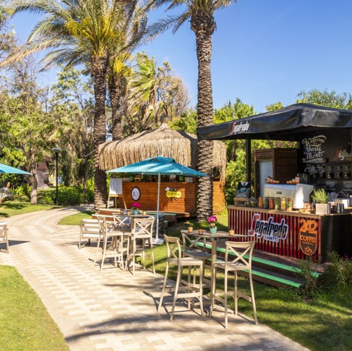 242 COFFEE HOUSE 1 (Büyük)