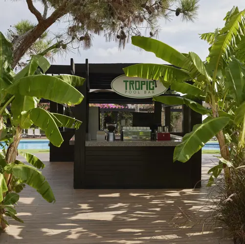 TROPIC BAR3