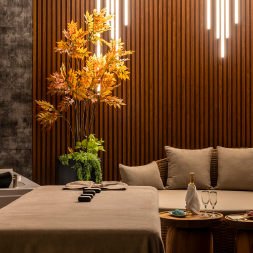 H VIP MASAJ ROOM WITH JAKUZI 2