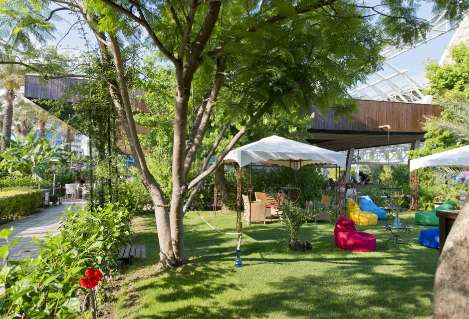 Shisha Bar (Büyük)